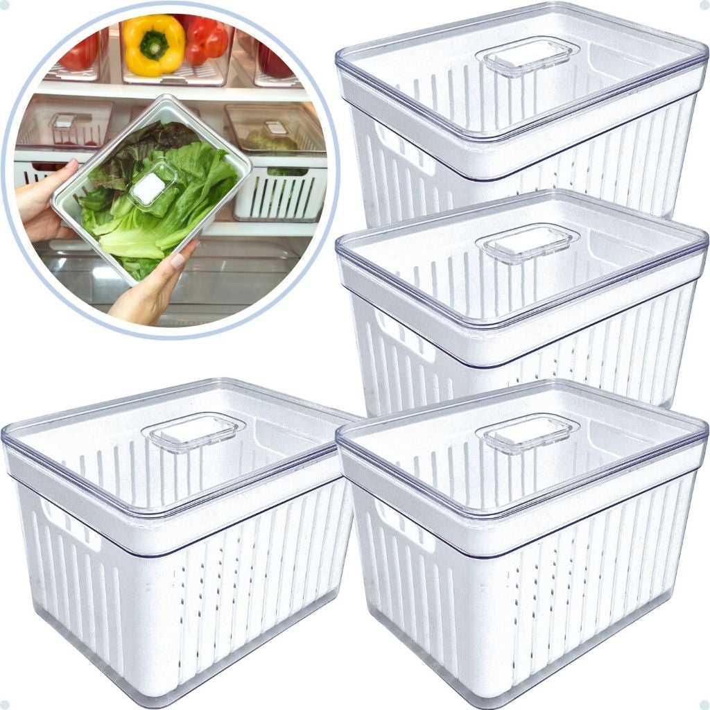 Organizador Seiri System